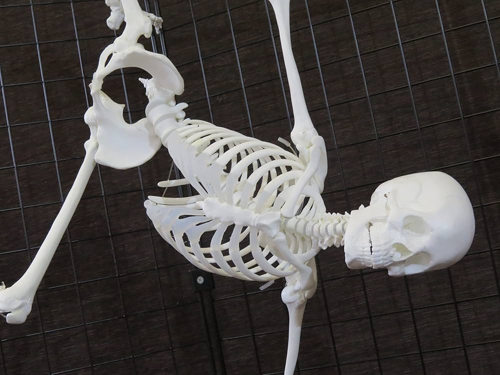 81e4NePddwL._AC_UF1000,