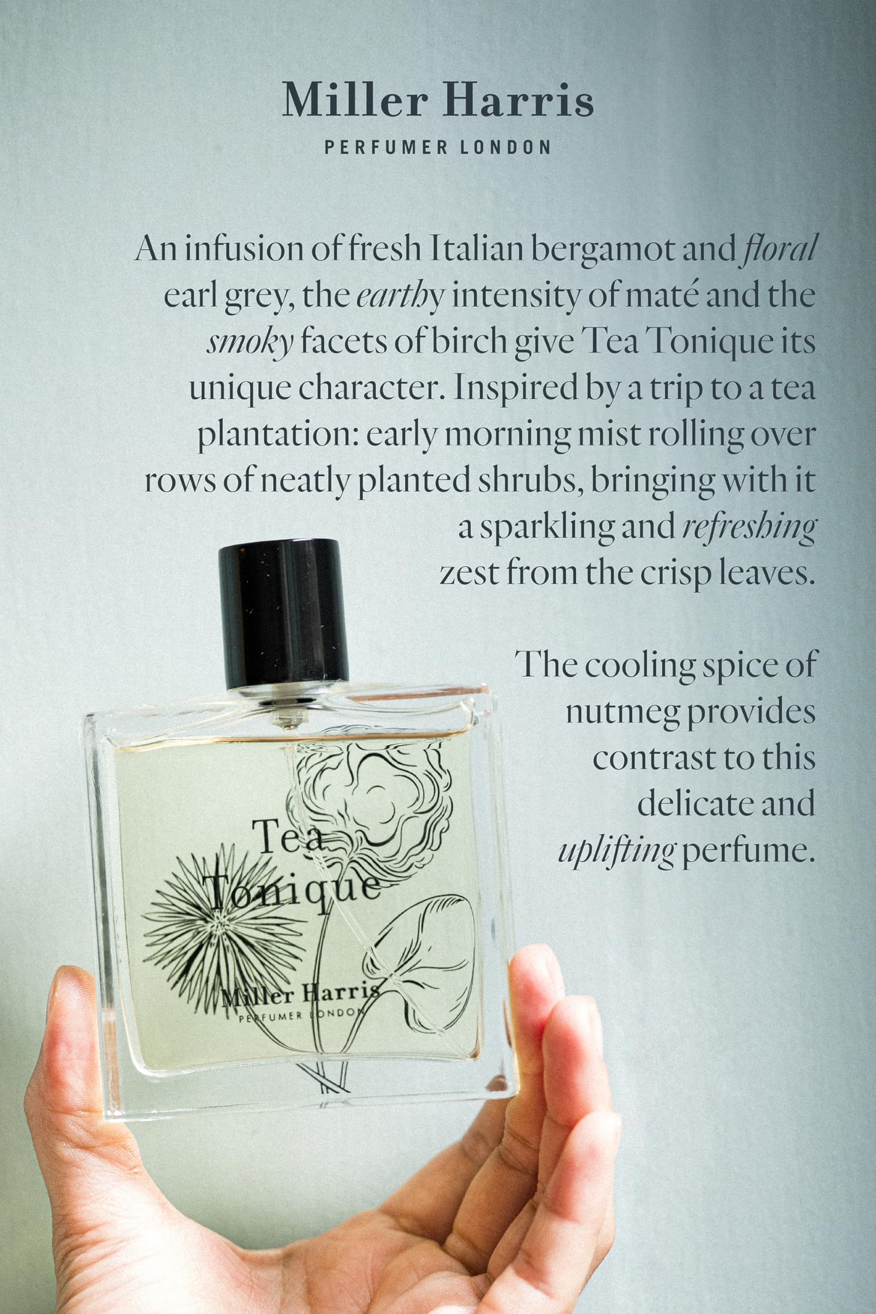 Amazon.com: Miller Harris Tea Tonique Eau de Parfum | Tea, Citrus