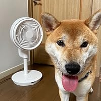 Amazon | ドウシシャ リビングサーキュレーター ピエリア ホワイト FCV