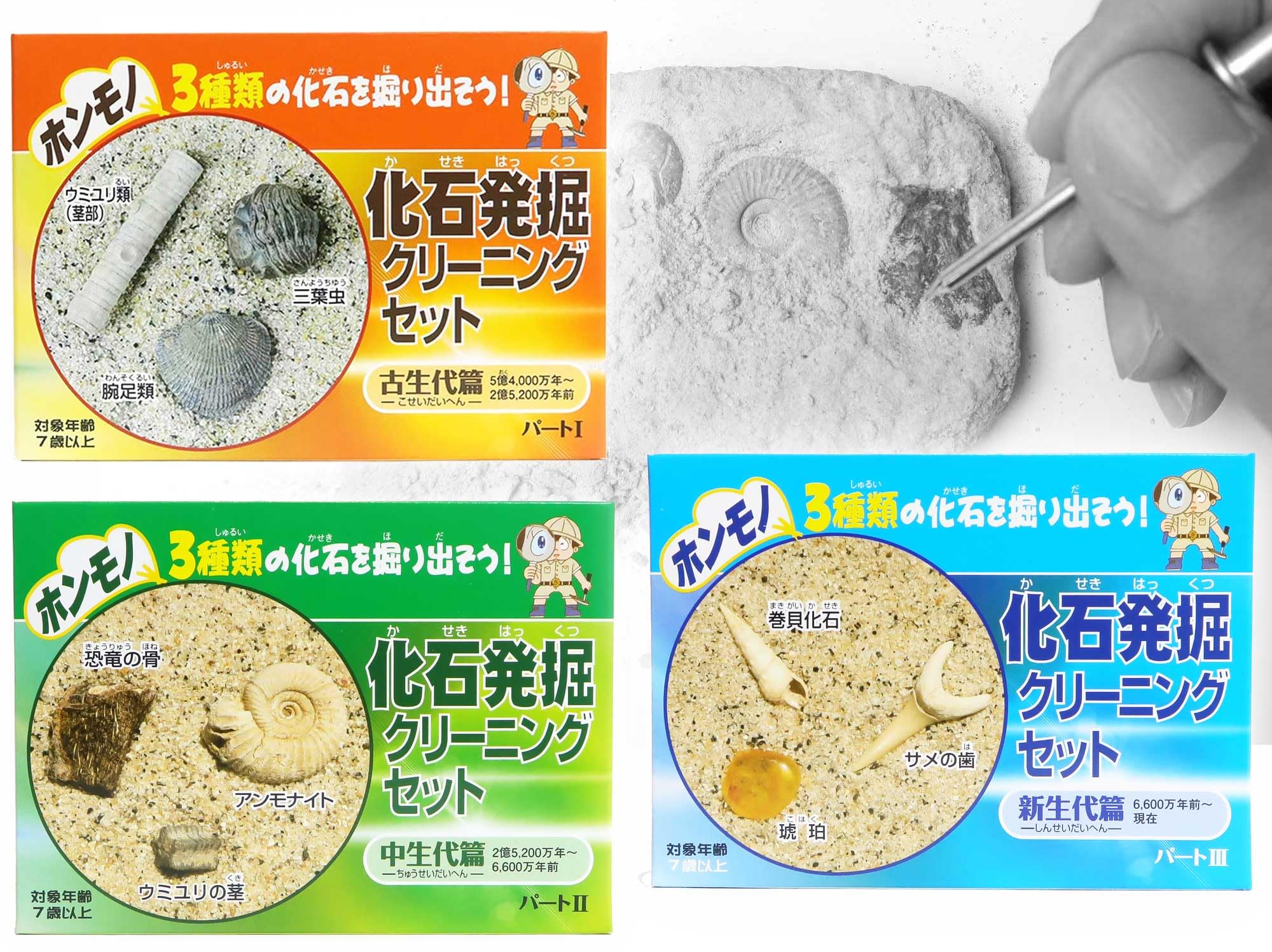 Amazon | TOKYO SCIENCE 実験・体験シリーズ 「renew 化石発掘