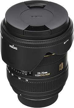 Amazon.com : Sigma 24-70mm f/2.8 IF EX DG HSM AF Standard Zoom
