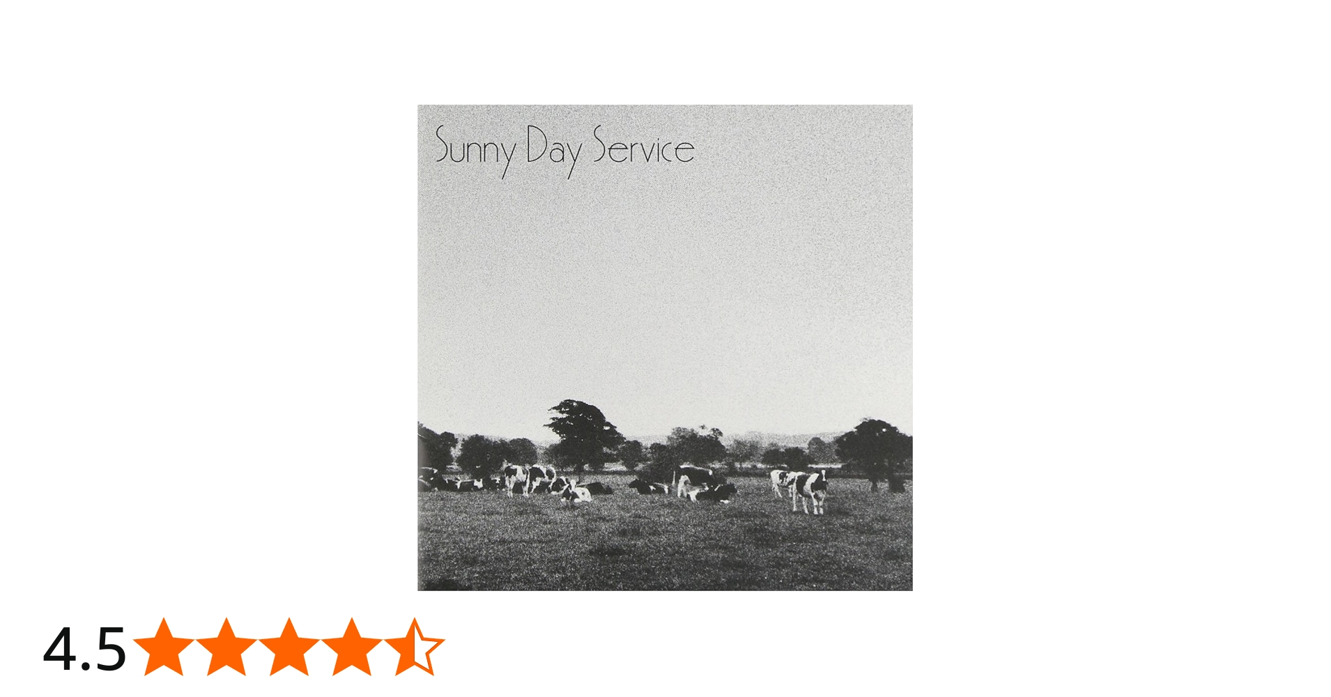 Amazon.co.jp: サニーデイ・サービス: ミュージック