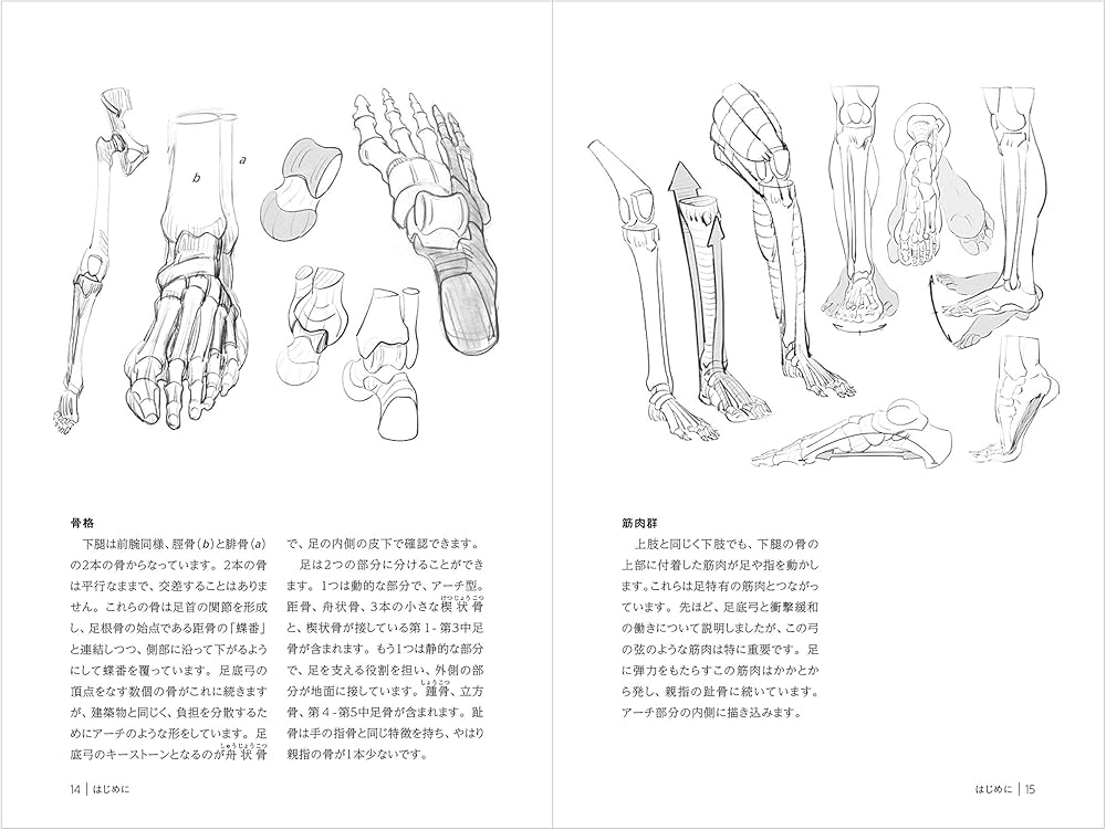 Amazon.co.jp: 手と足を描く (モルフォ人体デッサン ミニシリーズ
