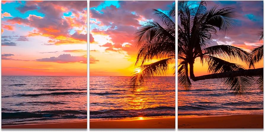 Amazon.co.jp: 3枚 パネル 海 ビーチ 夕日 風景画 絵画 写真 太陽 自然