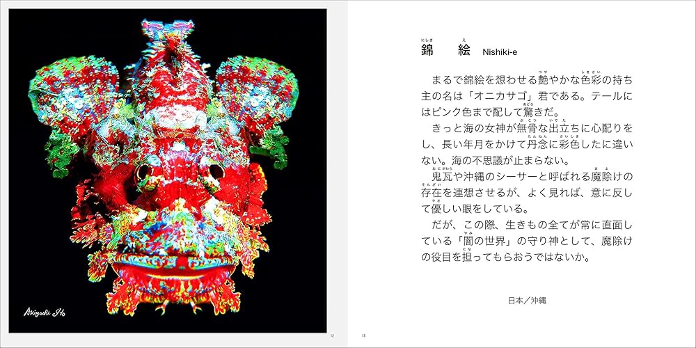 Amazon.co.jp: 奇跡の海物語 伊東昭義 : 伊東昭義: 本