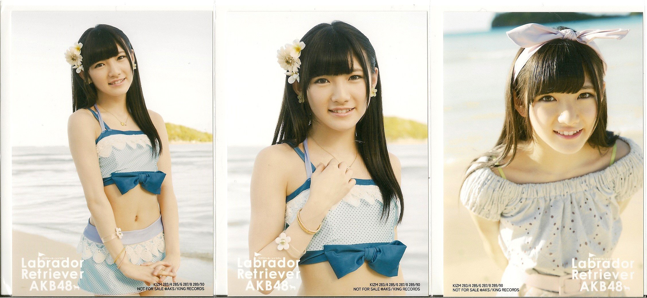 Amazon.co.jp: AKB48 公式生写真 ラブラドール・レトリバー 封入生写真