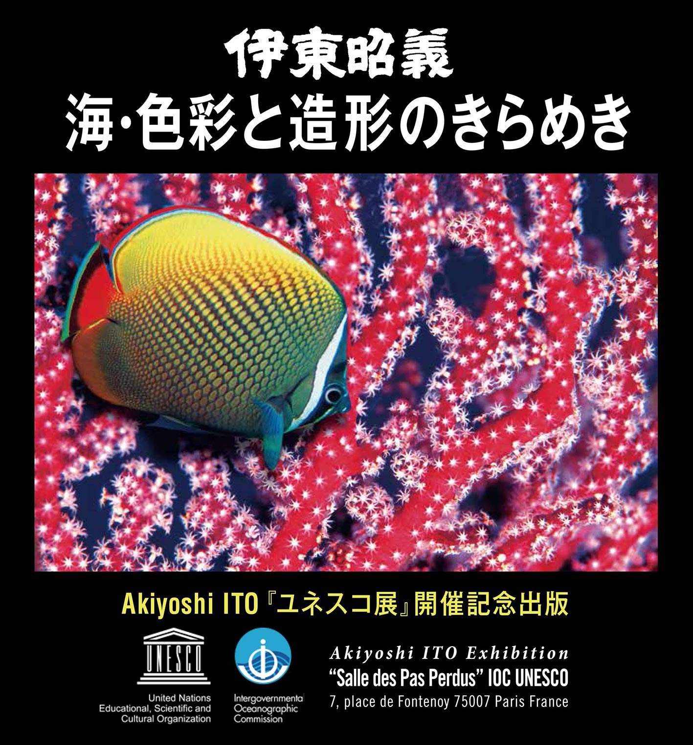 Amazon.co.jp: 伊東昭義 海・色彩と造形のきらめき : 伊東昭義