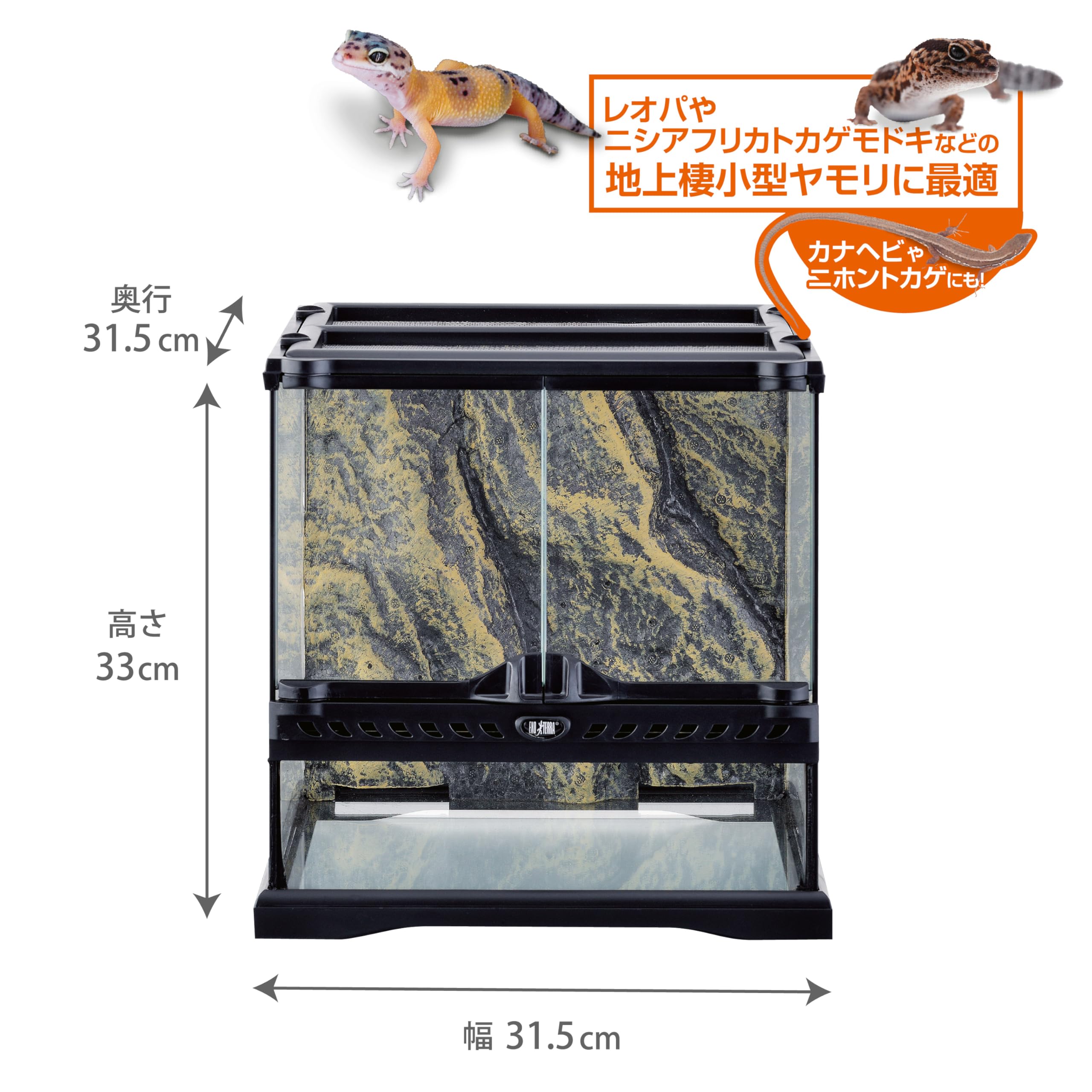 Amazon | GEX EXOTERRA レオパ飼育キット GT3030 爬虫類用ガラスケージ