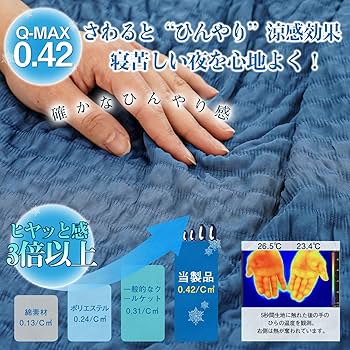 Amazon.co.jp: 【とろける新感覚・リバーシブル】タオルケット