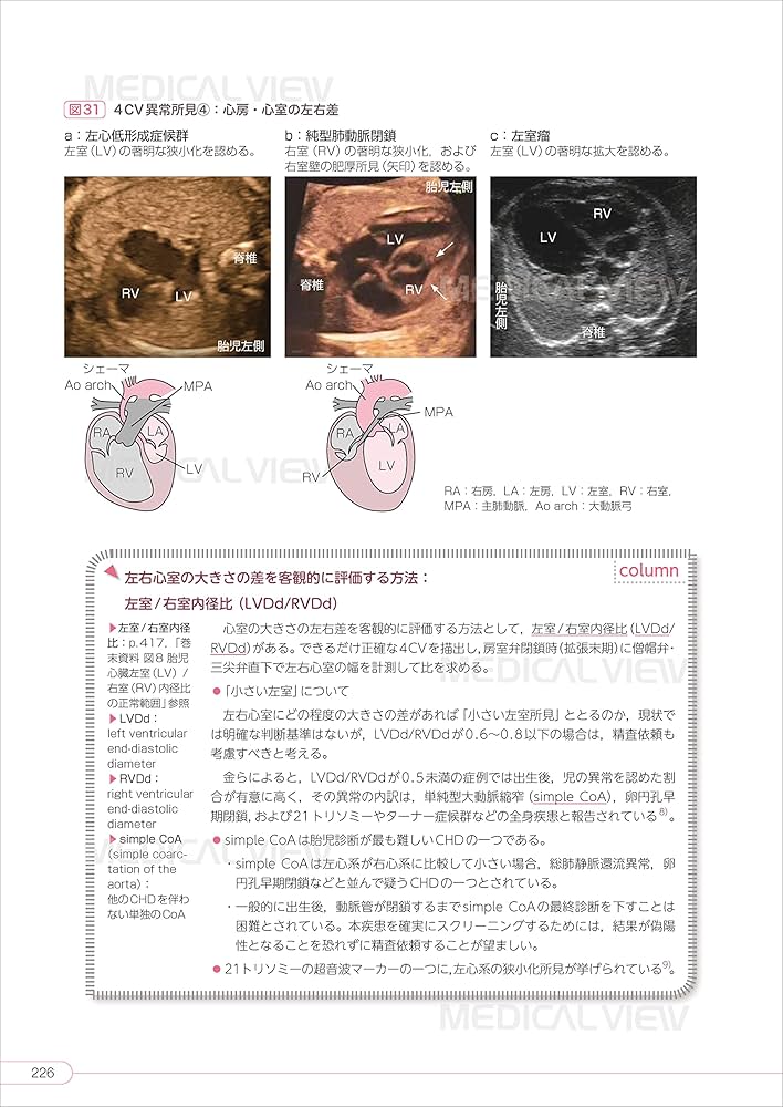 実践! 胎児超音波検査 ーどこを見て,なにを診るのか— | 辻村 久美子