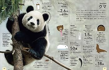 81lR-haAVBL._AC_UF350,