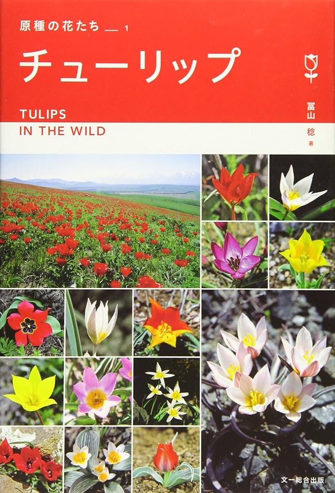 チューリップ—ヨーロッパ・アジア9カ国紀行 (原種の花たち) | 冨山 稔