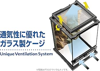 Amazon | エキゾテラ GEX EXOTERRA グラステラリウム6030 PT2604