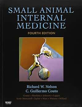 81m6I-BU4LL._AC_UF350,