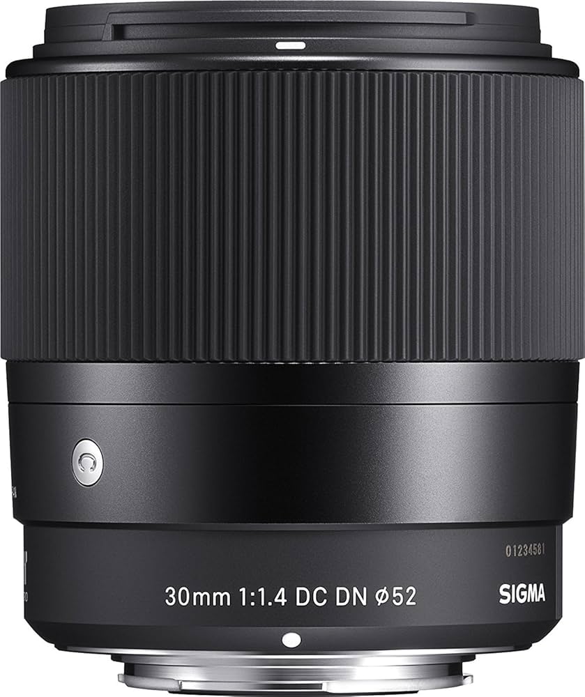 Amazon.com : Sigma 30mm F1.4 Contemporary DC DN Lens for Sony E