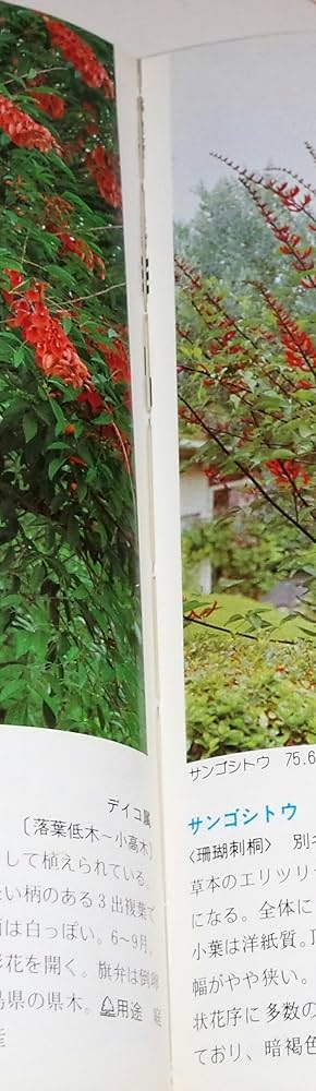 日本の樹木 (山渓カラー名鑑) | 林 弥栄 |本 | 通販 | Amazon