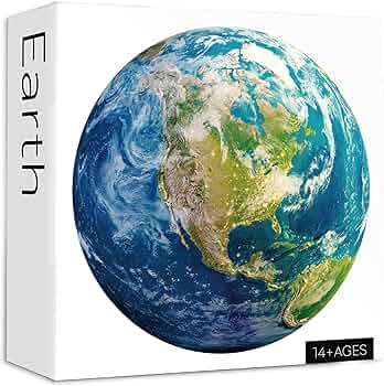 81nE036yuLL._AC_UF350,