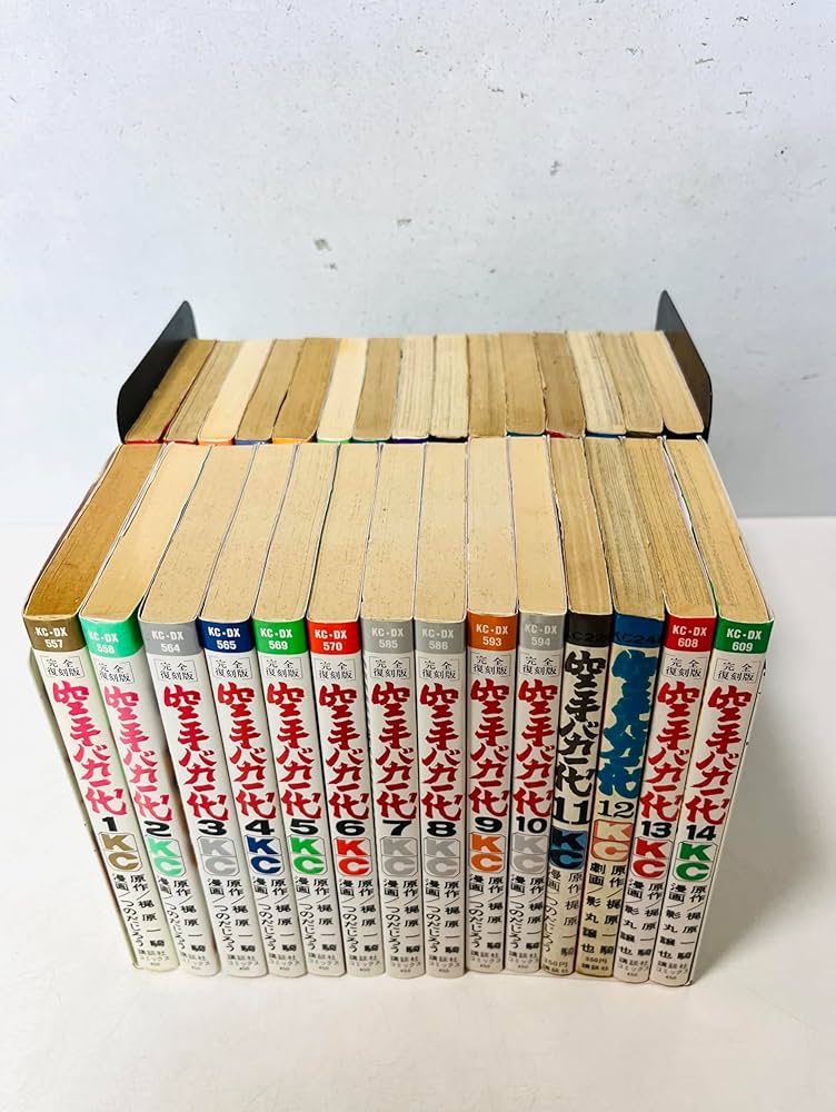 81nMN9DDr3L._AC_UF1000,