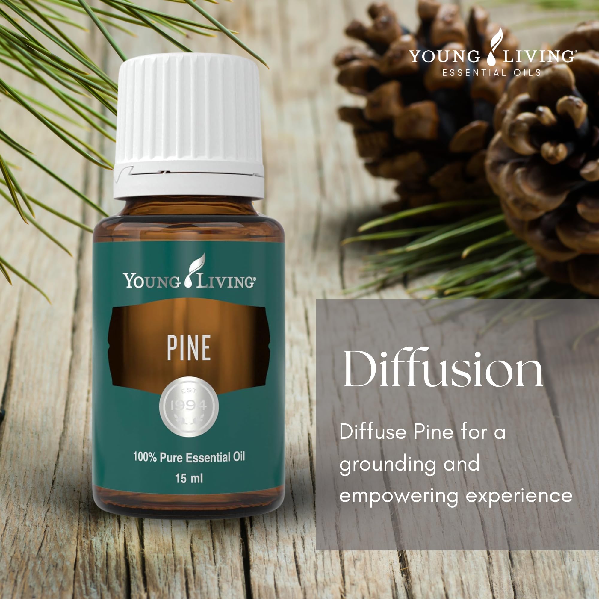 Amazon.com: Young Living Pine Essential Oil | 15 ml | Fresh