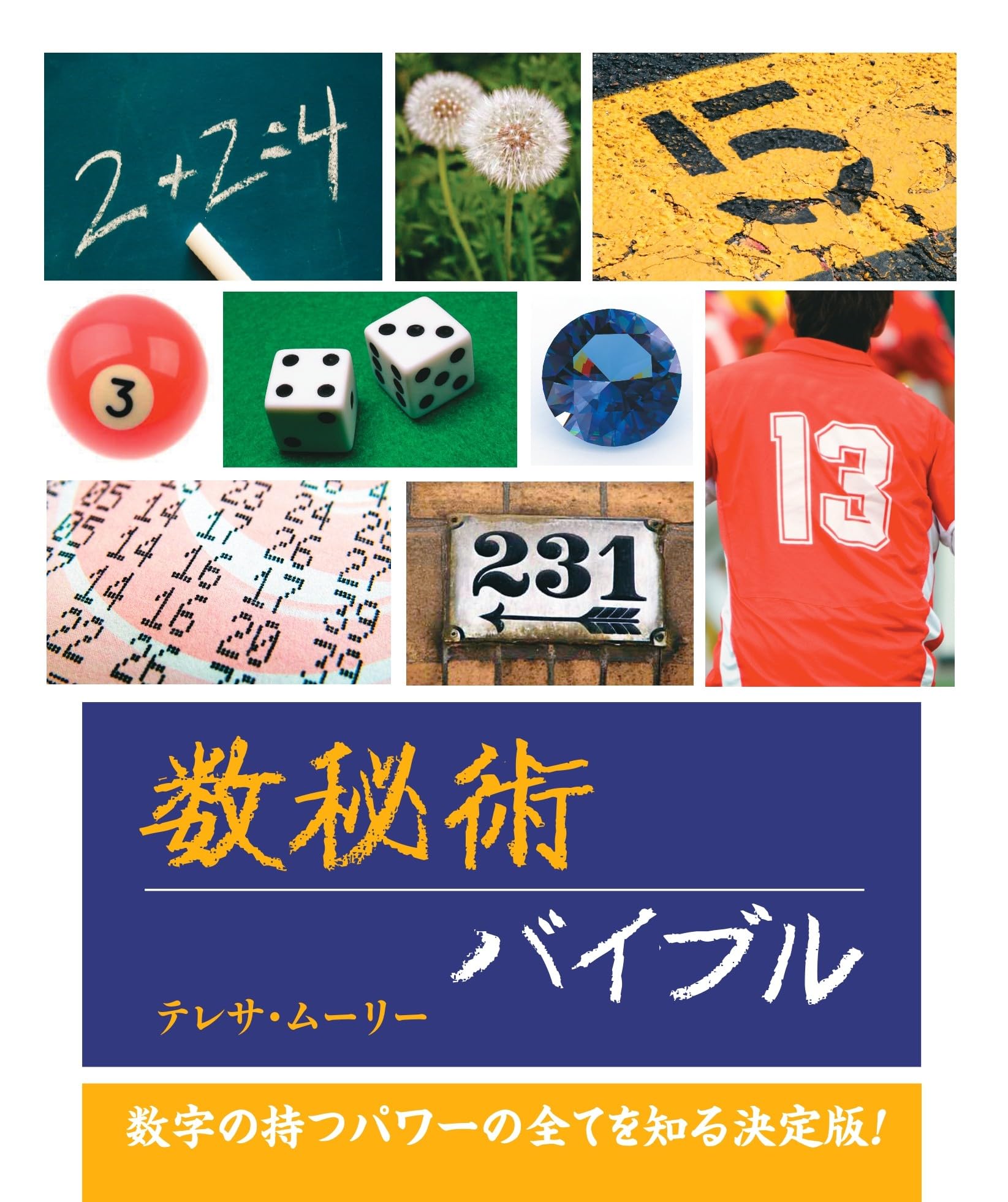 数秘術バイブル: 数字の持つパワーの全てを知る決定版！ (バイブル