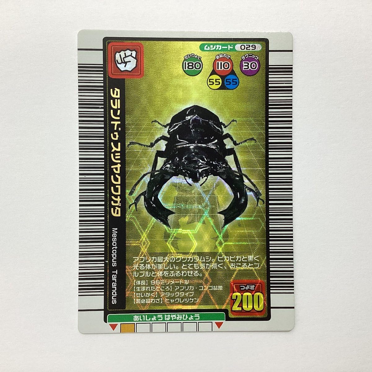 PSA10 タランドゥスツヤクワガタ 2005 ファースト PSA10 タランドゥス