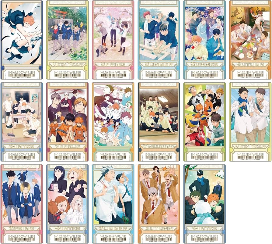Amazon.co.jp: アニメ『ハイキュー！！』 ビジュアルクリアチケット 13