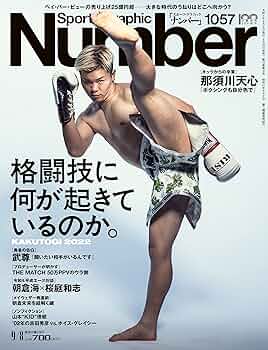 81p6-AK9PLL._AC_UF350,