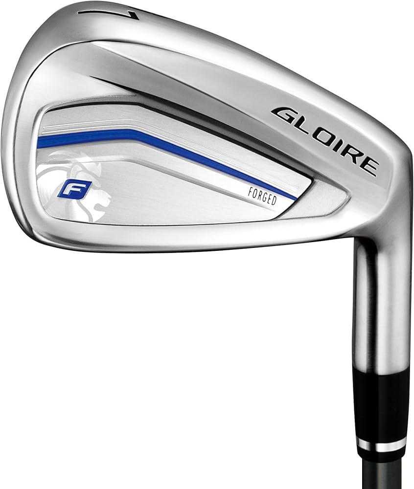 Amazon.co.jp: TAYLOR MADE(テーラーメイド) GLOIRE F2 アイアン(5本