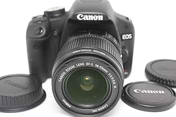 81pYakc75JL._AC_UF350,