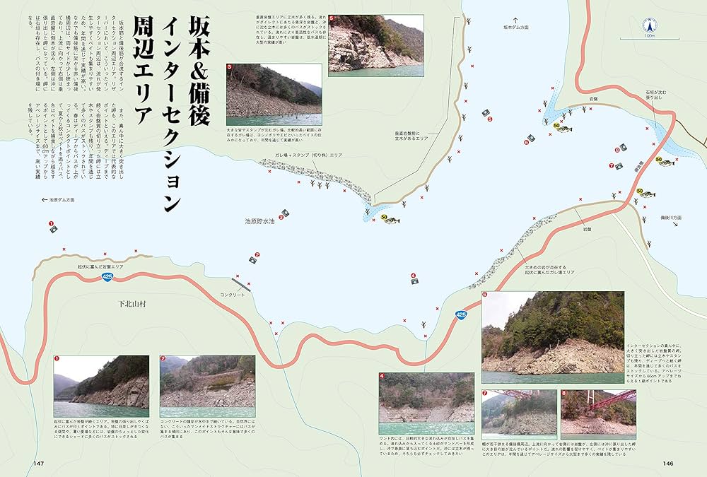 81q47QDp4ML._AC_UF1000,