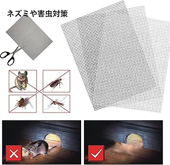 81qpP4TiCpL._AC_UF350,