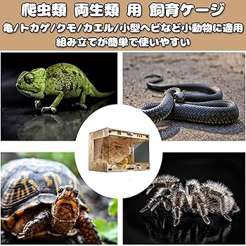 Amazon | 2025新型 爬虫類 ケージ 120cm【Errtsdb レプタイルボックス