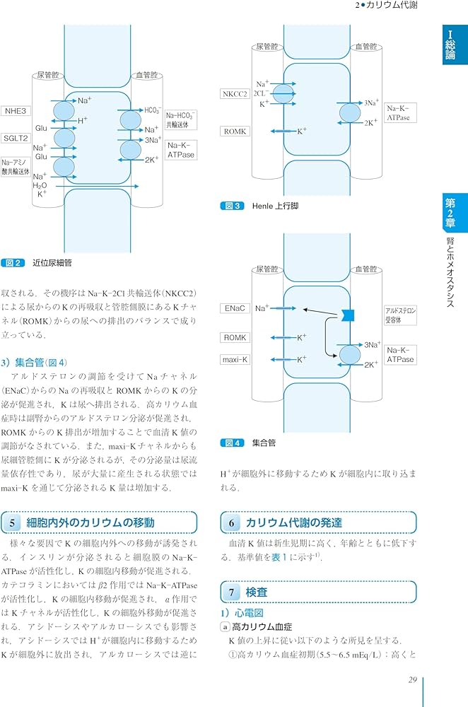81raPyV8KcL._AC_UF1000,
