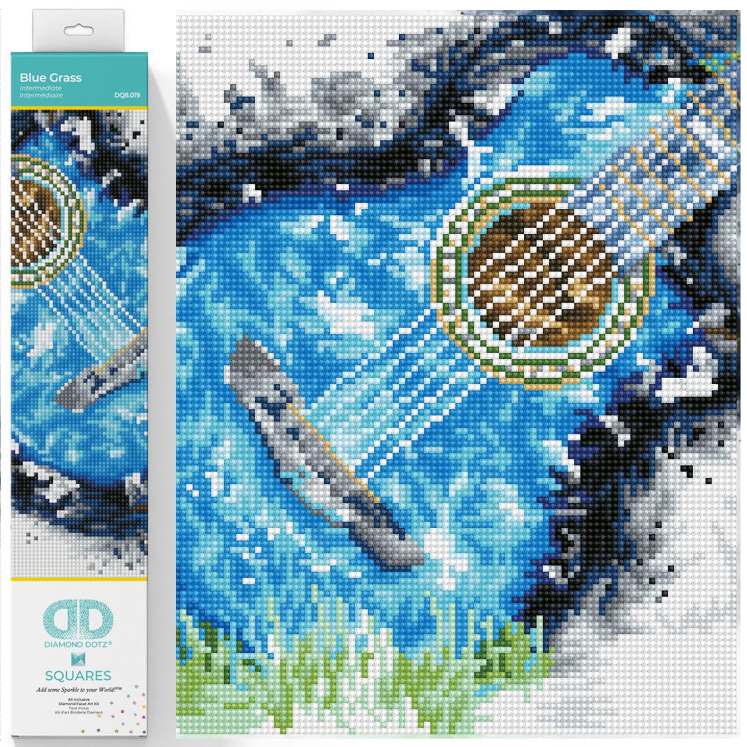 Amazon.com: DIAMOND DOTZ Blue Grass Music Diamond Painting Kits