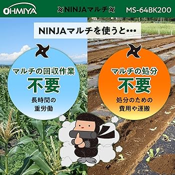 916+vFQtymL._AC_UF350,