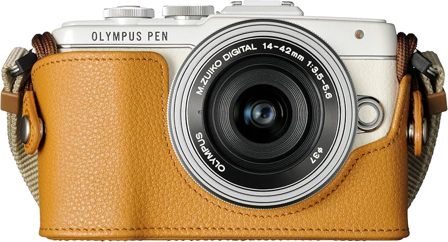 916W6GmEWTL._AC_UF894,