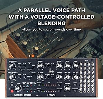 Amazon.com: MOOG Labyrinth - Semi-Modular Parallel Generative