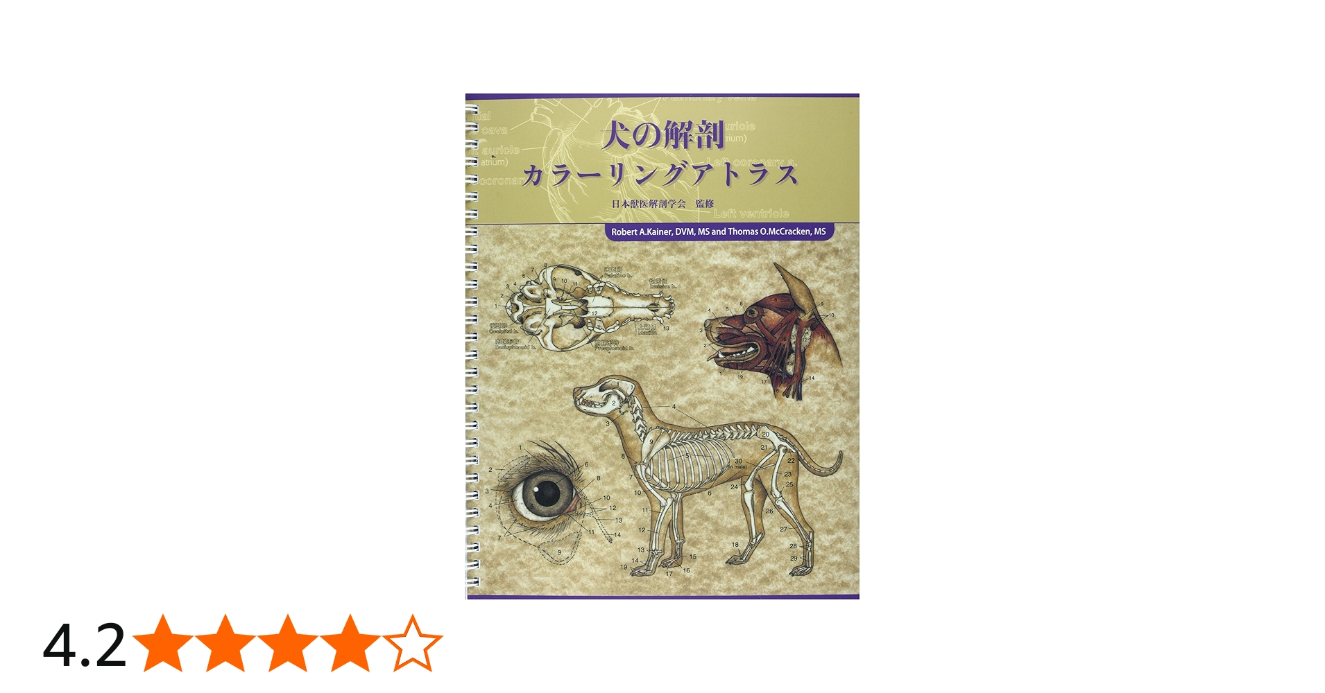 犬の解剖カラ-リングアトラス | 日本獣医解剖学会 |本 | 通販 | Amazon