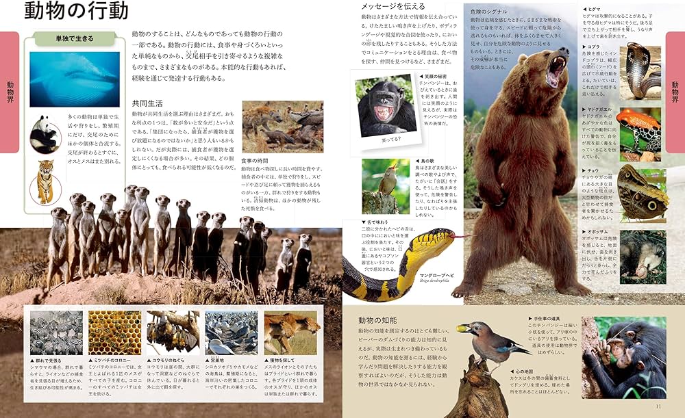 ビジュアル 世界の動物大図鑑 | DK, 梅田 智世, 倉田 真木, 小宮 輝幸