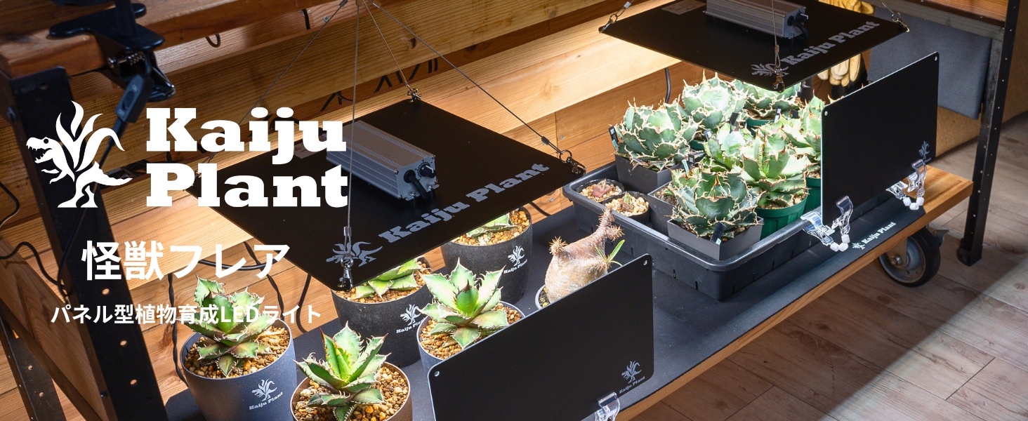 Amazon.co.jp: Kaiju Plant 怪獣フレア301(ブラック) 120W 室内に太陽