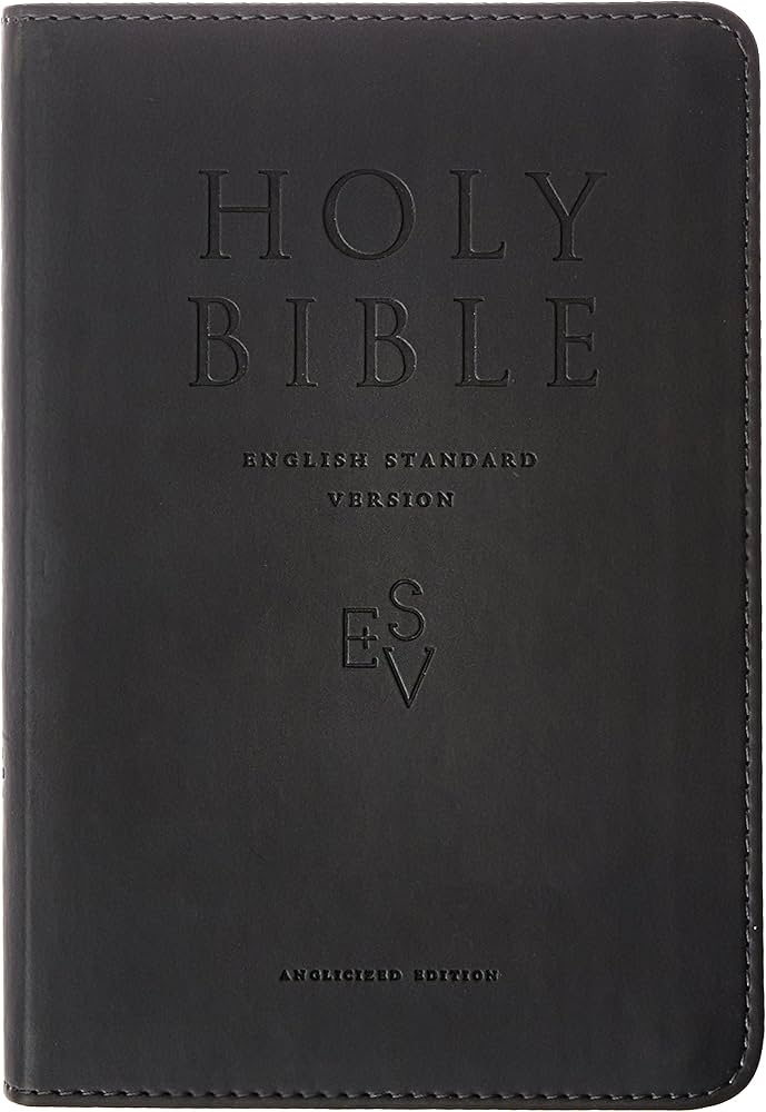 The Holy Bible: English Standard Version: Bible English English