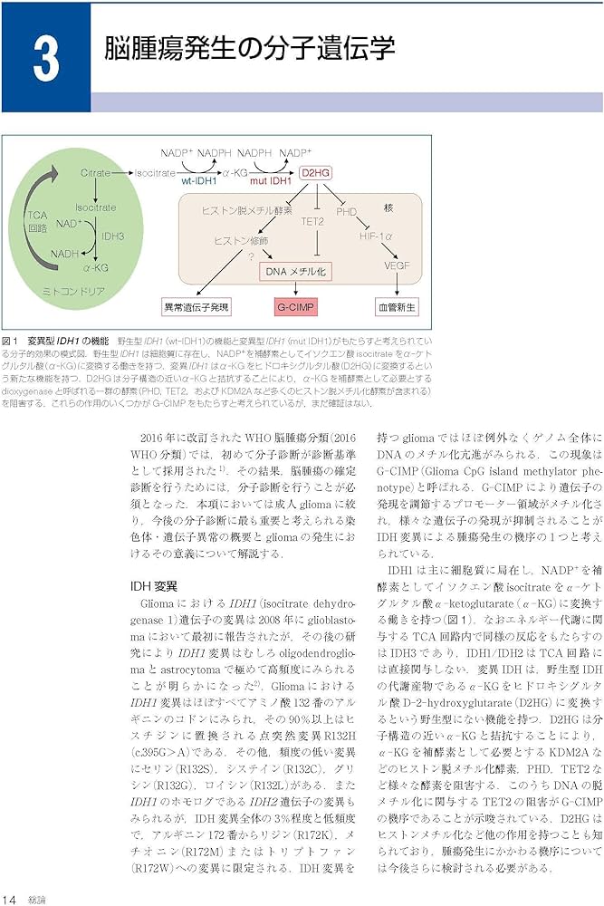 脳腫瘍臨床病理カラーアトラス 第4版 | 日本脳腫瘍病理学会, 若林俊彦