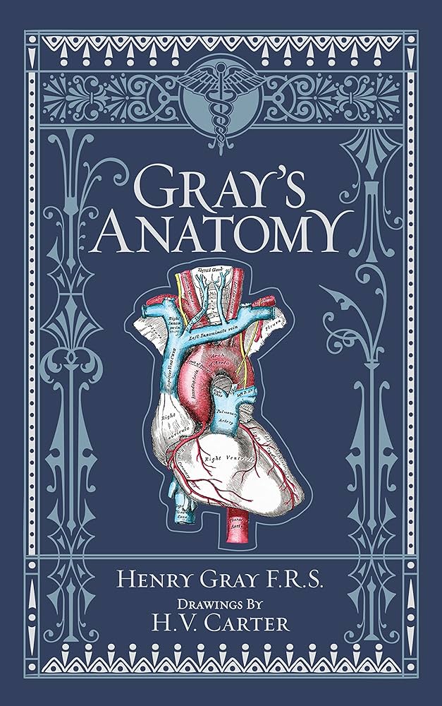 Gray's Anatomy: Henry Gray: 9781435114937: Amazon.com: Books