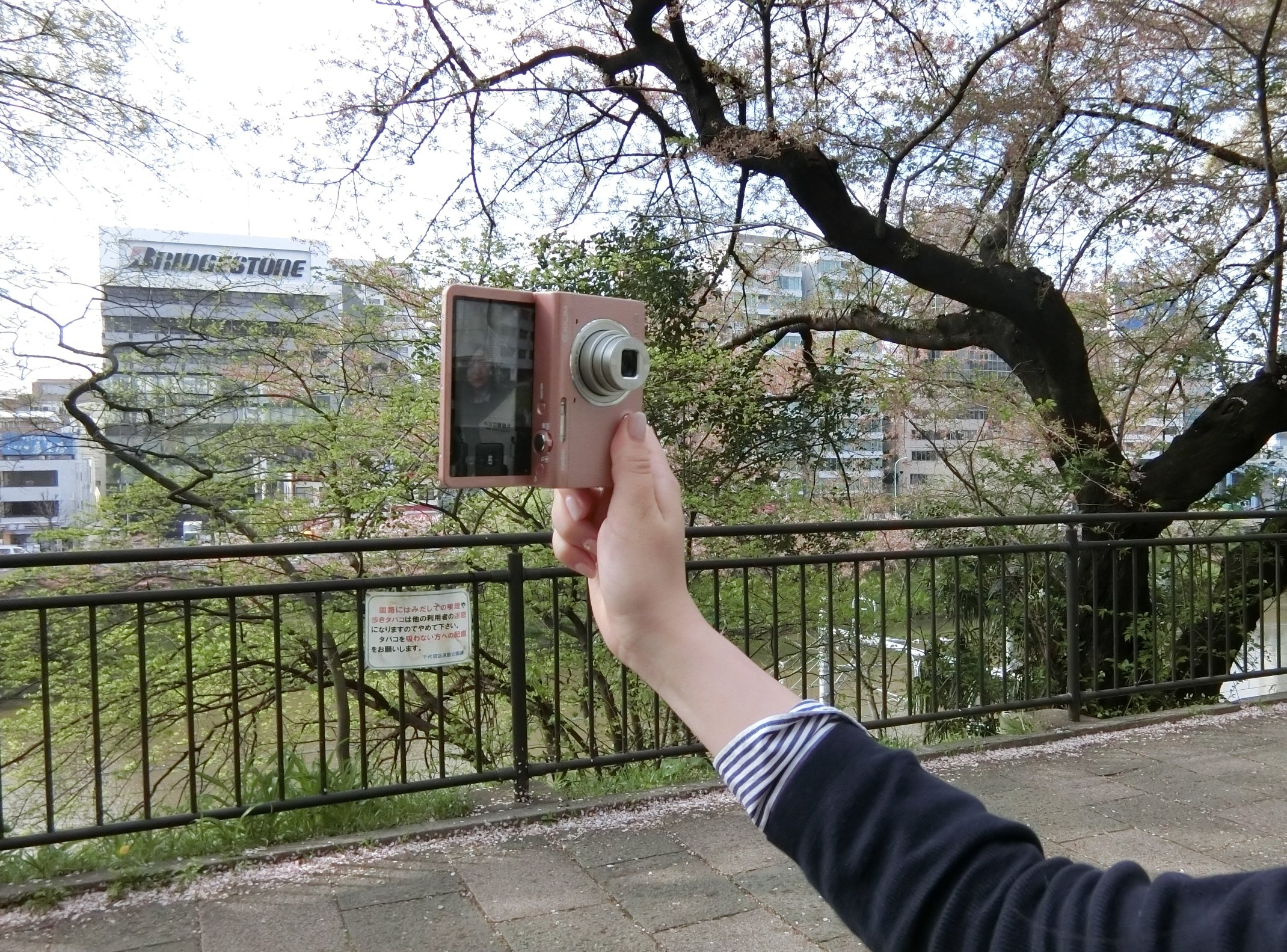 Amazon | CASIO デジタルカメラ EXILIM EXZR50PK 1610万画素 自分撮り