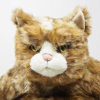 Amazon.co.jp: 猫 ぬいぐるみ ムッシュ カドリー （ Cuddly ) : おもちゃ