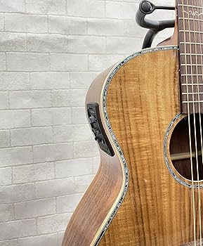 Amazon | ディーシーティージャパン(Dct Japan) エレクトリック