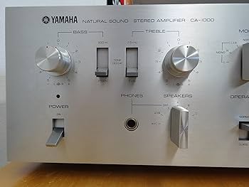 91x1EeczI8L._AC_UF350,