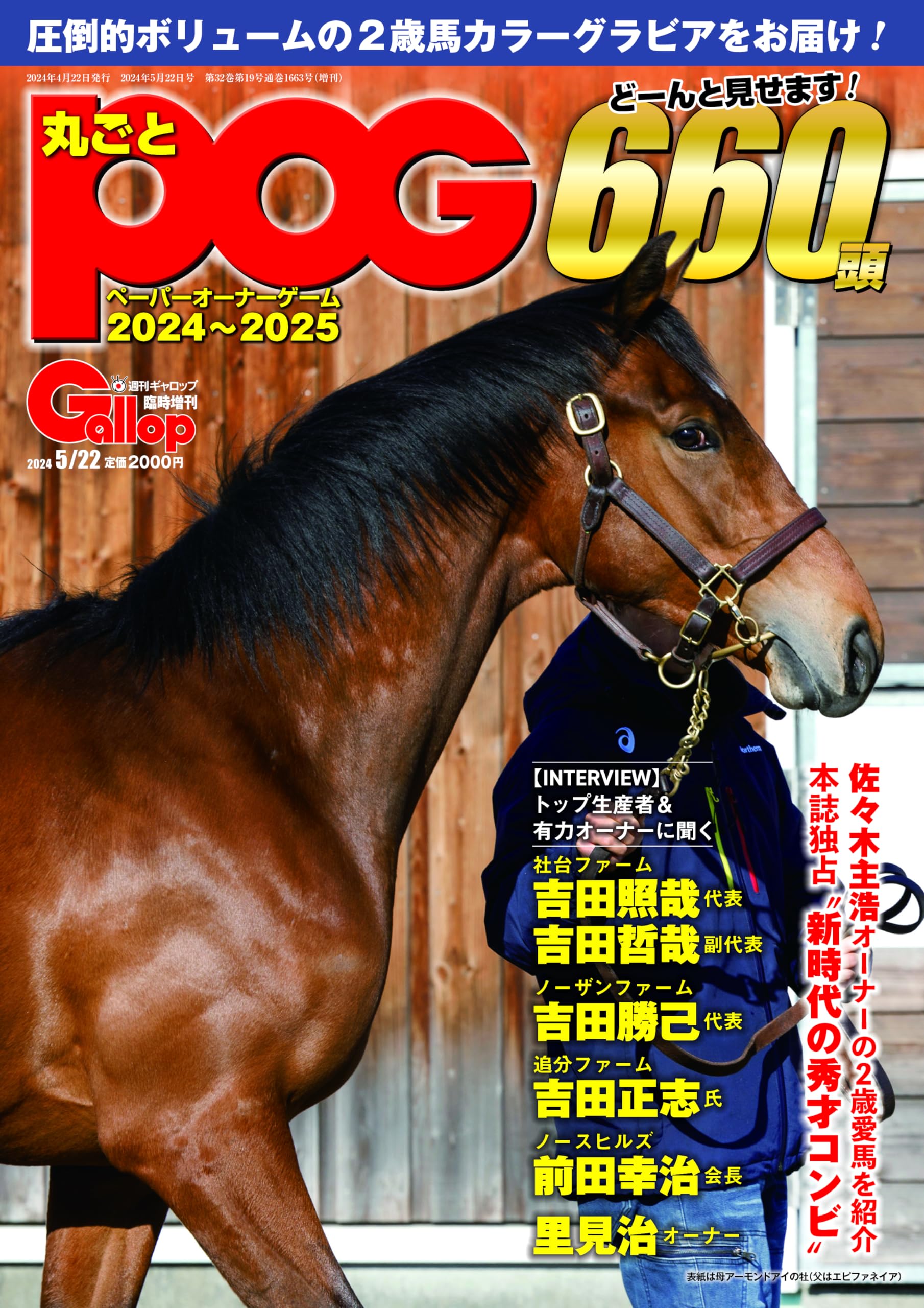 丸ごとPOG 2024～2025 | サンケイスポーツ |本 | 通販 | Amazon