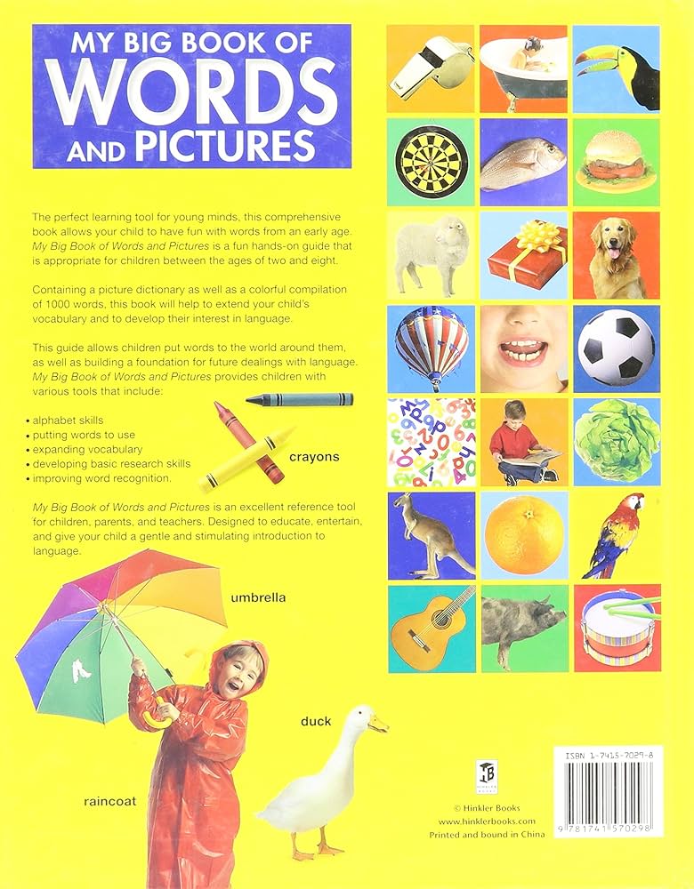 My Big Book of Words and Pictures: Julie Haydon: 9781741570298