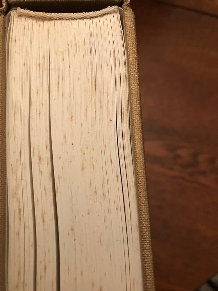 Amazon.com: Juergen Teller Go-Sees: 9783908247142: Teller, Juergen